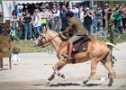 Pferd International 144